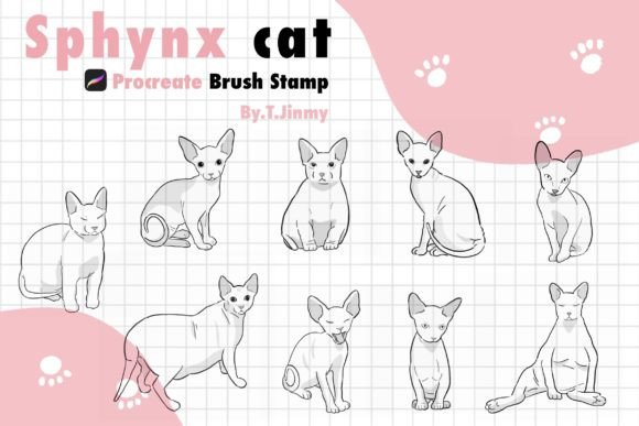 Mastering the Sphynx Cat Brush Stamp for Professional Digital Illustration