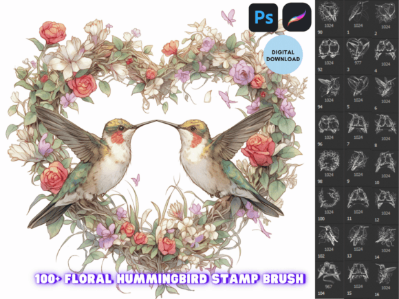 Procreate Photoshop Hummingbird Brush Guide